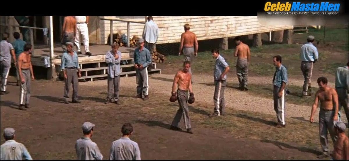 Paul Newman's Shirtless Scene in Cool Hand Luke